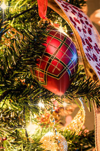 Close-up of illuminated christmas tree at night