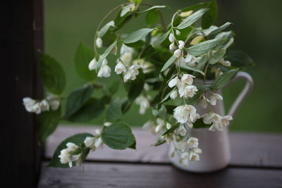 Close-up of white flower vase on table