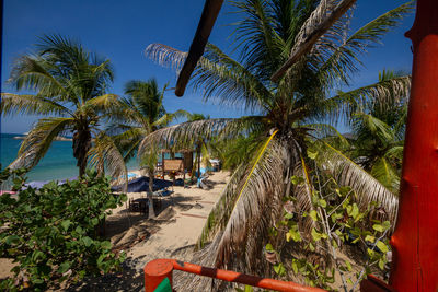 Palm trees on beach against sky