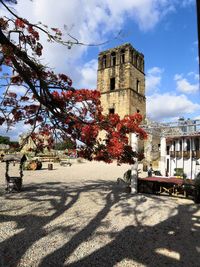 Trees and historic building against sky