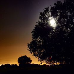 Low angle view of silhouette trees against sky at sunset