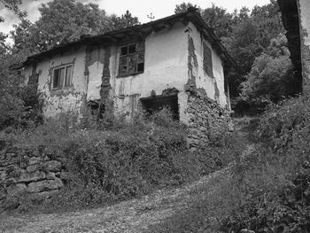 Abandoned building by trees