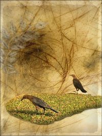 Close-up of bird perching on tree