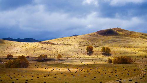 Scenic view of desert against sky