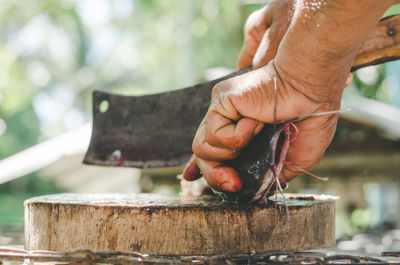 Cropped hands of man cutting fish on table