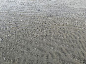 Full frame shot of wet sand