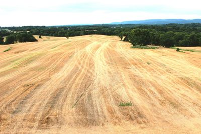 Scenic view of rural landscape