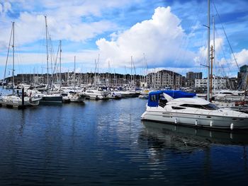 Sailboats moored at harbor