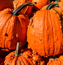 Close-up of pumpkins in market during autumn