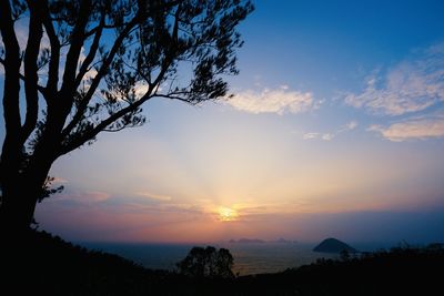 Silhouette trees against sky during sunset