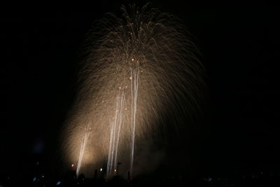 Low angle view of firework display at night