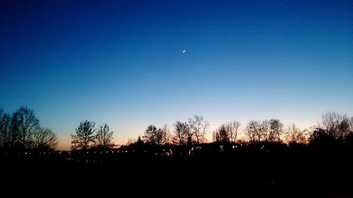 Silhouette of bare trees against blue sky