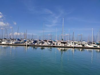 Sailboats moored in harbor