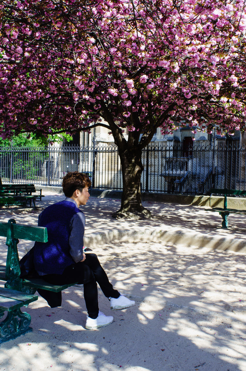 tree, park - man made space, lifestyles, leisure activity, full length, sitting, bench, rear view, flower, park, childhood, season, nature, person, girls, casual clothing, growth, day