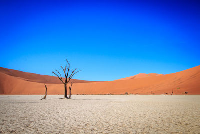 Scenic view of desert against clear blue sky