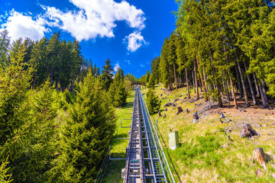 Railroad tracks amidst trees in forest against sky