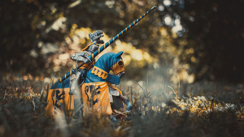 View of stuffed toy on field in forest