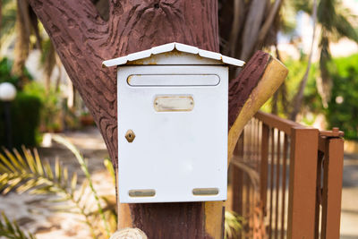 Close-up of mailbox on tree trunk