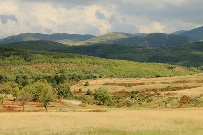 landscape