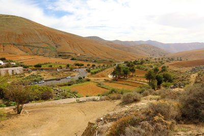 Cactus garden in the small town of betancuria, fuerteventura, canary islands