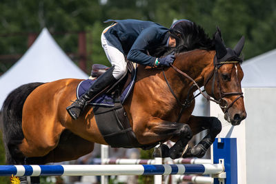 Man riding horse