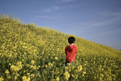 Rear view of person standing on field