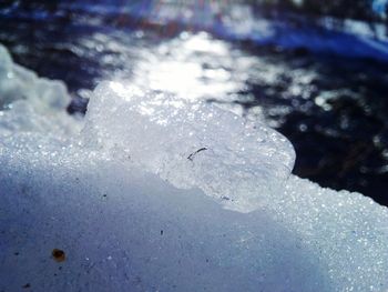 Close-up of frozen water