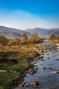 River flowing through misty mountain valley covered with dense forests and blue sky at dawn 