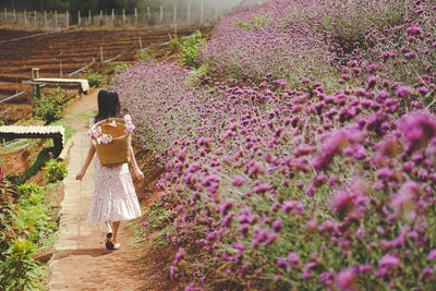 Girl and lavender field