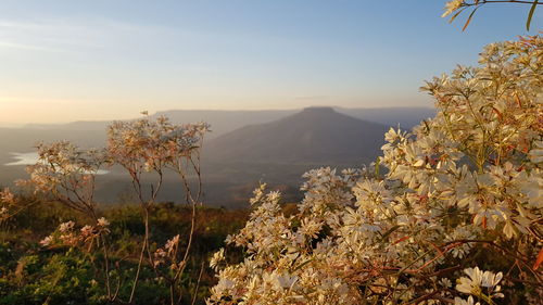 Scenic view of sea and mountains against sky