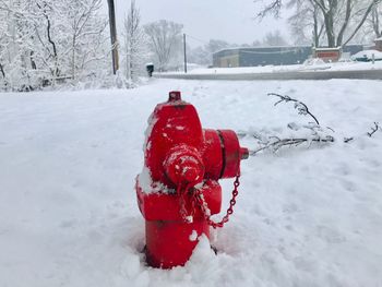 Red fire hydrant on snow covered field