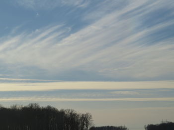 Low angle view of trees against sky