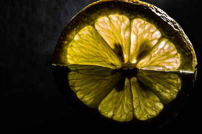 Close-up of lemon slice