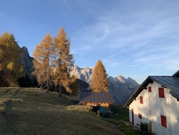 Scenic view of trees and houses against sky