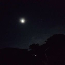 Low angle view of silhouette moon against sky at night