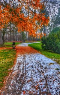 Scenic view of forest during autumn