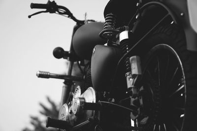 Close up of plant against blurred background