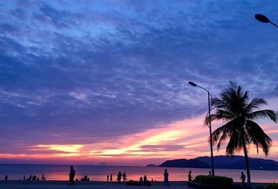 Silhouette coconut palm tree at sea shore against sky during sunset