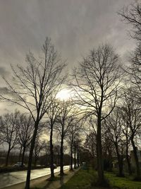 Bare trees against sky at sunset