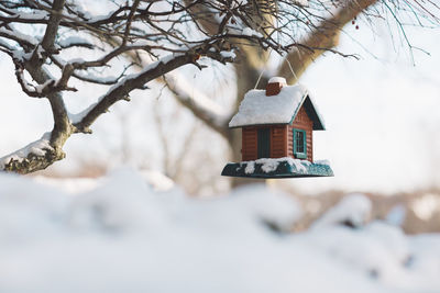 Low angle view of birdhouse on tree during winter