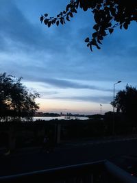 Silhouette trees by street against sky at sunset