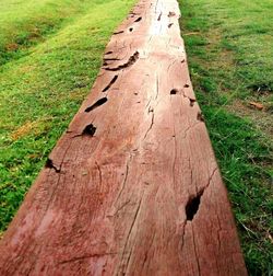 Close-up of tree stump on field