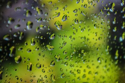 Full frame shot of water drops on leaf