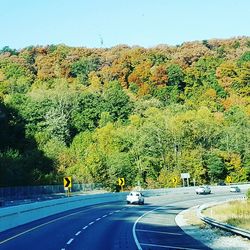 Road amidst trees against clear sky