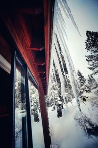 Low angle view of built structure