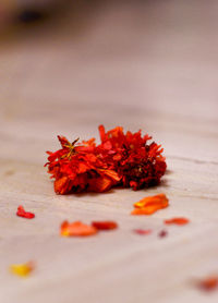 Close-up of red leaves