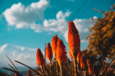 
nature photography during the summer holidays