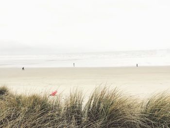 Scenic view of beach against clear sky