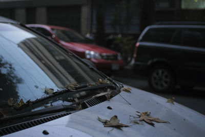 Close-up of damaged car