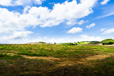 Scenic view of field against sky